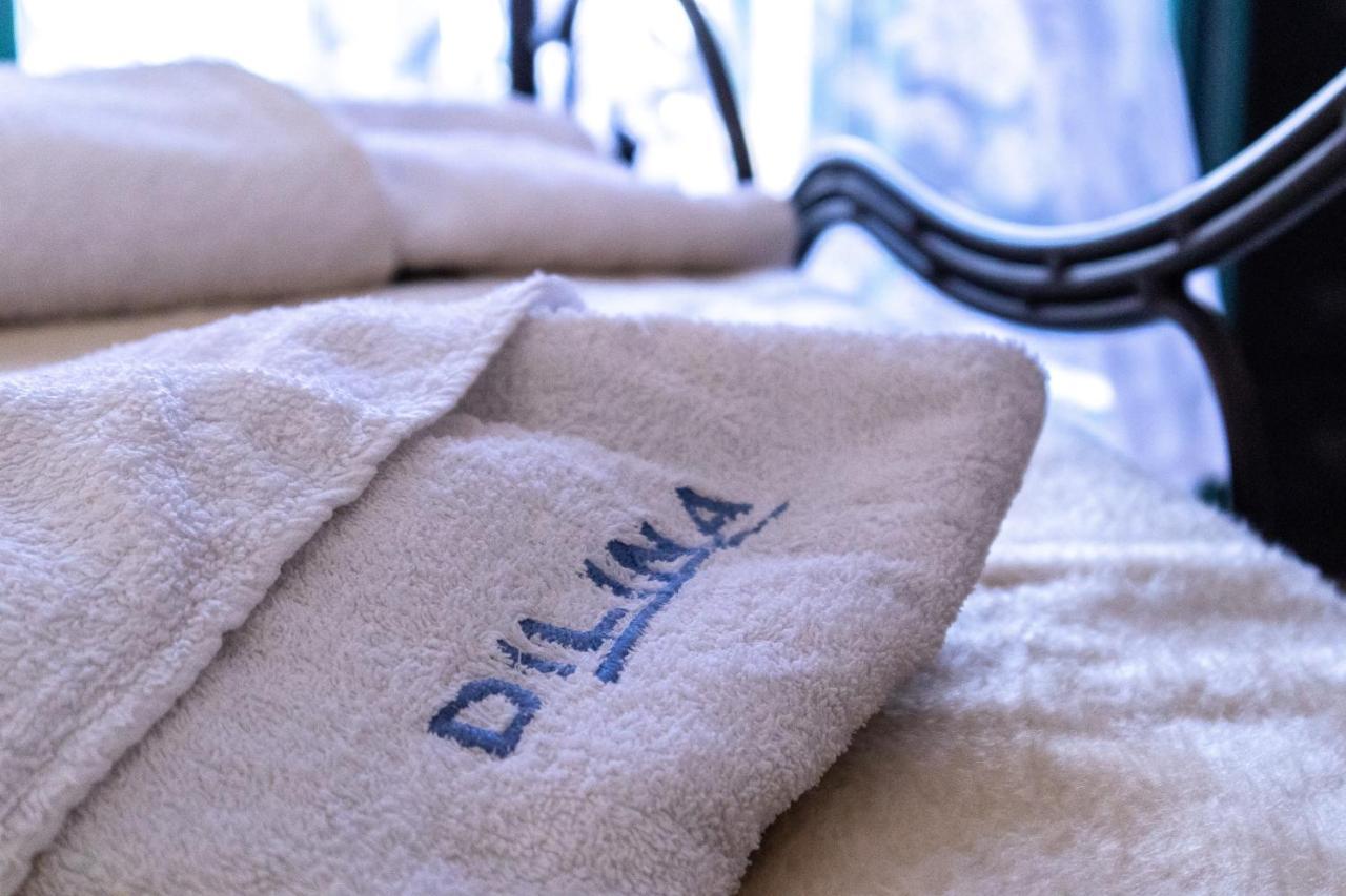 Dilina Studios Arkasa Extérieur photo