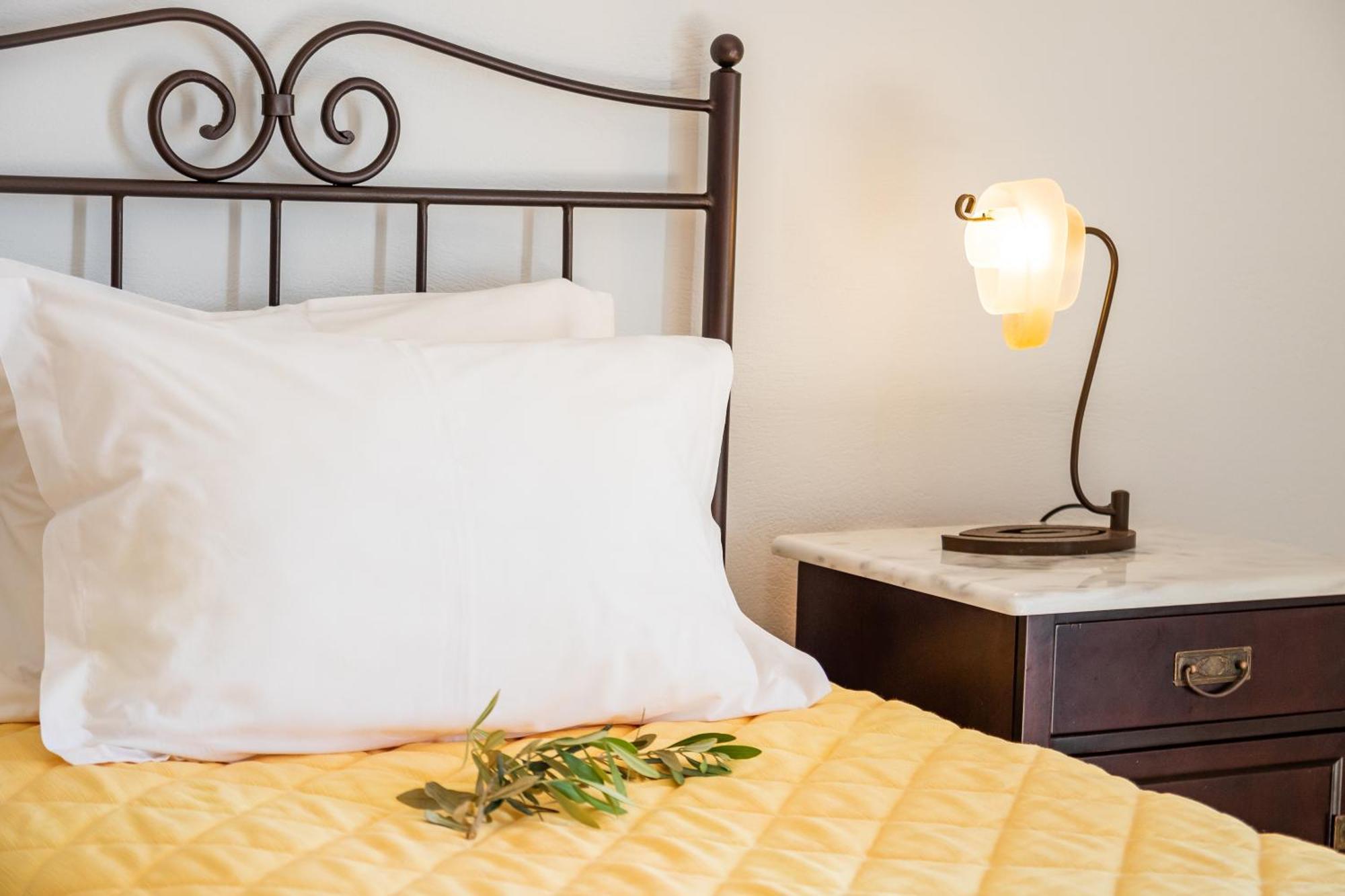 Dilina Studios Arkasa Chambre photo